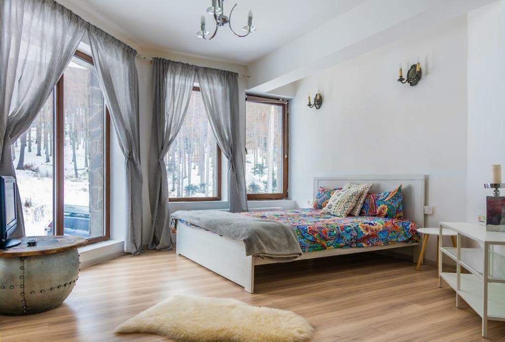 Vila Mama Jana Buşteni 外观 照片