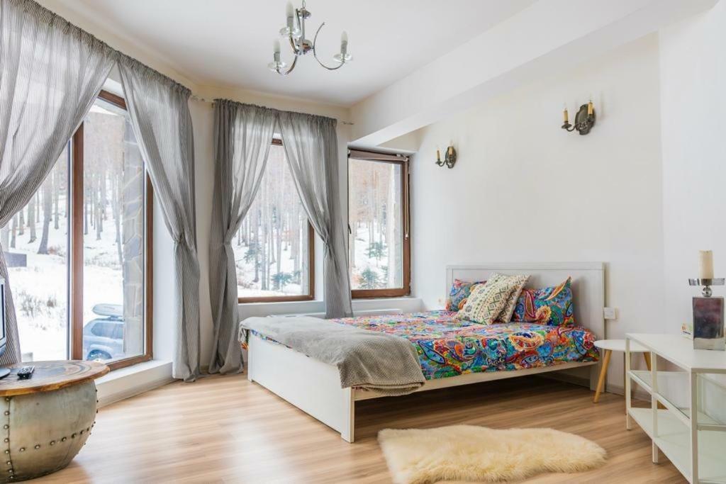 Vila Mama Jana Buşteni 外观 照片